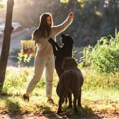 Mersjo Prirodne žvakaće bombone od kože s pačjim mesom, poslastica za pse, Mersjo, 500 g