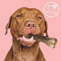 Mersjo MERSJO žvakaća kost s lososom za pse 13,5 cm - zdrava koža i dlaka