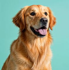 Mersjo MERSJO žvakaća kost s lososom za pse 13,5 cm - zdrava koža i dlaka