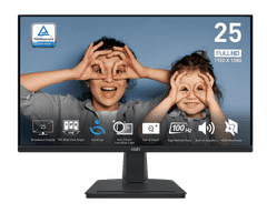 MSI Pro MP251 monitor, 24.5, FHD, VA, 100Hz, 1ms, crni