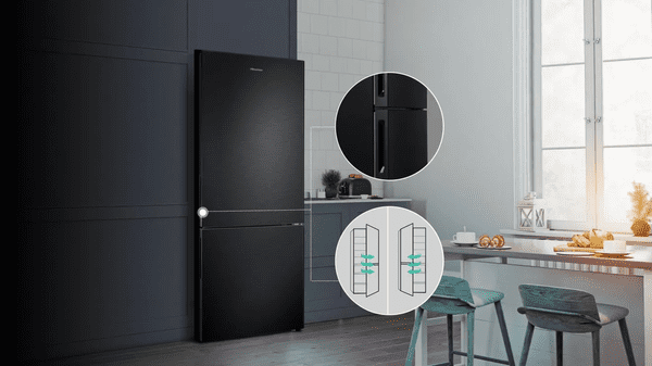 Hisense RB645N4BIC kombinirani hladilnik