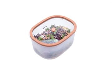 Status Fresco vakuumska posuda, 2,3 l, losos