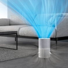 Rowenta Kompaktni pročišćivač zraka Pure Air (PU2220F0)