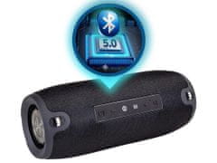 Manta SPK15GO prijenosni zvučnik, BT, FM radio, 20 W, TWS, baterija, + remen, crni (Eclipse Black)