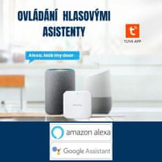 BOT Pametna brava Tuya L2 srebrna osnovna duljina