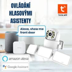 BOT Pametna vanjska WiFi kamera FLC1 Floodlight PTZ