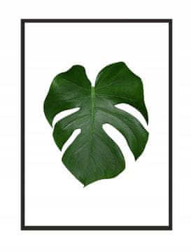 POSTER U OKVIRU 43x33 cm List 2 P570