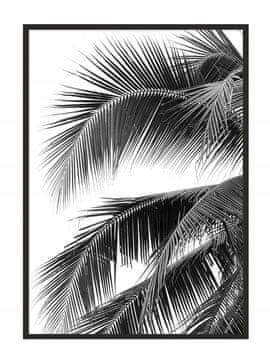 POSTER U OKVIRU 43x33 cm Palm P689