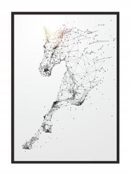 POSTER U OKVIRU 43x33 cm Konj P703