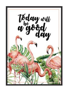 POSTER U OKVIRU 43x33 cm Flamingosi P705