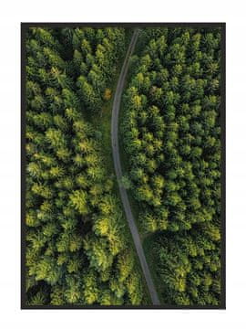 POSTER U OKVIRU 43x33 cm Cesta P718
