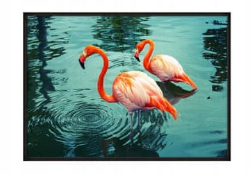 POSTER U OKVIRU 43x33 cm Flamingo P666