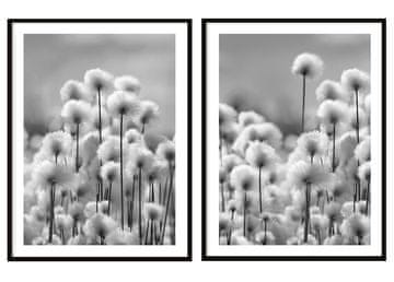 POSTERI U OKVIRU 53x73cm Diptih Set od 2 slike Maslačci Boho P2074
