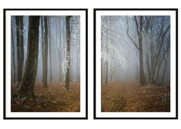 POSTERI U OKVIRU 53x73cm Diptih Set od 2 slike Jesenska šuma P2093