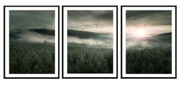 POSTER U OKVIRU 33x43cm Triptih Set od 3 slike Šumski krajolik P2036