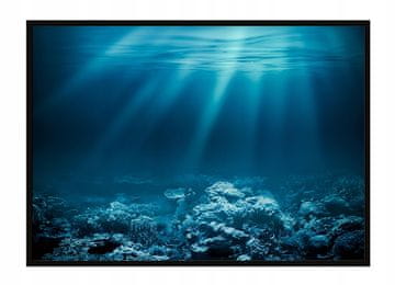 POSTER BEZ OKVIRA 53x73 cm More P1901
