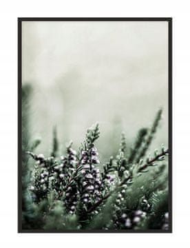 POSTER U OKVIRU 53x73 cm Livada P1773
