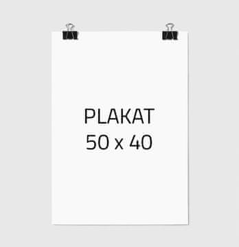 POSTER ZA SLIKE 40x50 cm BEZ OKVIRA P000