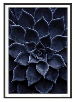 SLIKA, POSTER U OKVIRU 53x73 cm Lišće P2011