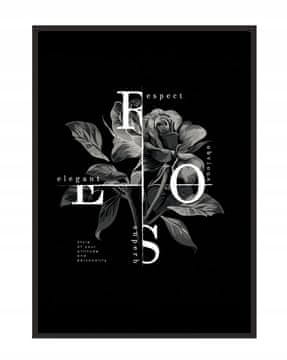 POSTER U OKVIRU 53x73 cm Ruža P1080