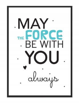 POSTER ZA SLIKE U OKVIRU A4 cm Force PD027