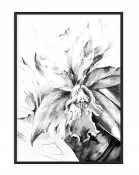 POSTER U OKVIRU 53x73 cm Cvijet P1099