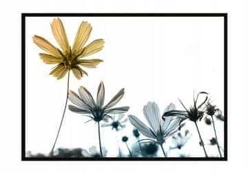 POSTER U OKVIRU 53x73 cm Cvijeće P1052