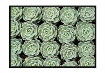 POSTER U OKVIRU 53x73 cm Cvijeće P1053