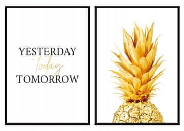 POSTERI U OKVIRU 53x73cm Diptih Set od 2 slike Zlatni ananas P984