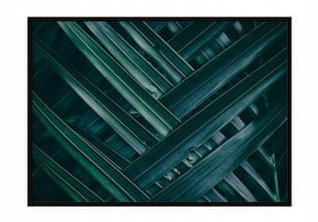 POSTER U OKVIRU 53x73 cm Listovi P1120
