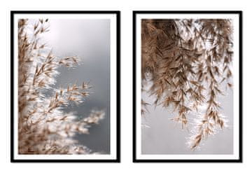 POSTERI U OKVIRU 53x73cm Diptih Set od 2 slike Trava Bež Boho P2137