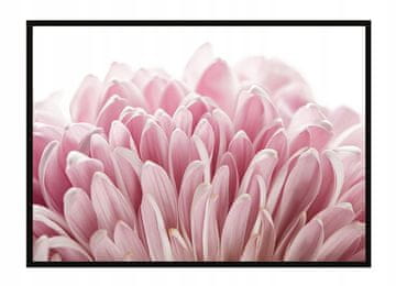 OKVIR ZA POSTER 53x73 cm Cvijet P1682