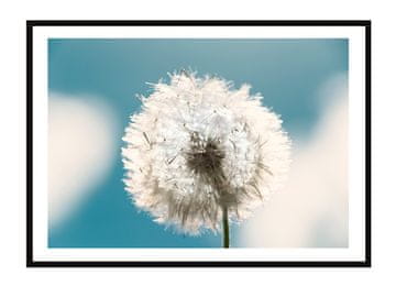 POSTER U OKVIRU 33x43 cm Boho P2251