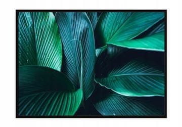 POSTER U OKVIRU 53x73 cm Listovi P1124