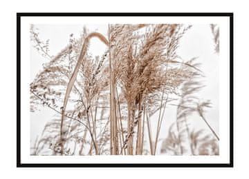POSTER U OKVIRU 33x43 cm Boho P2242