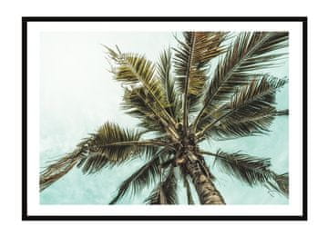 POSTER U OKVIRU 33x43 cm Palm P2246