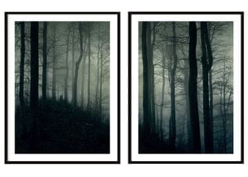 POSTERI U OKVIRU 53x73cm Diptih Set od 2 slike Mračna šuma P2089