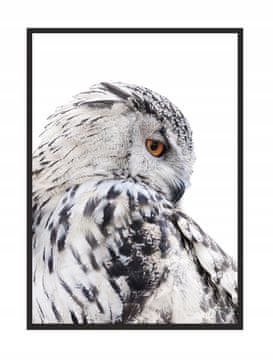 SLIKA, POSTER U OKVIRU 33x43 cm Sova P507