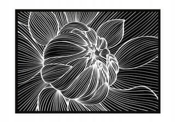 POSTER U OKVIRU 53x73 cm Cvijet P1059