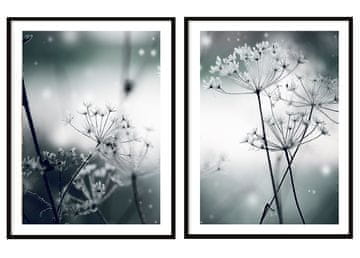POSTERI U OKVIRU 53x73cm Diptih Set od 2 slike Maslačci Boho P2073