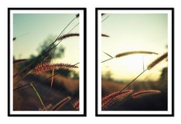 POSTERI U OKVIRU 53x73cm Diptih Set od 2 slike Trave Boho P2176
