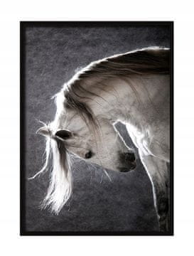 SLIKA, POSTER U OKVIRU 33x43 cm Konj P506