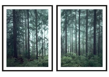 POSTERI U OKVIRU 53x73cm Diptih Set od 2 slike Mračna šuma P2088