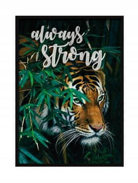 SLIKA, POSTER U OKVIRU 73x53 cm Tiger P527