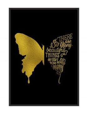 POSTER U OKVIRU 43x33 cm Leptir P1142