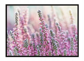 POSTER U OKVIRU 53x73 cm Livada P1638