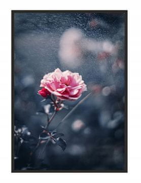 POSTER U OKVIRU 43x33 cm Cvijet P1237