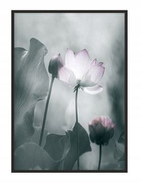 POSTER U OKVIRU 43x33 cm Cvijet P1229