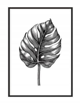 POSTER U OKVIRU 43x33 cm List P1139