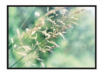 POSTER U OKVIRU 53x73 cm Livada P1639